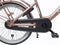Alpina Clubb Meisjesfiets - 20 inch - Rose Gold Matt - Transportfiets Meisjes - Roze