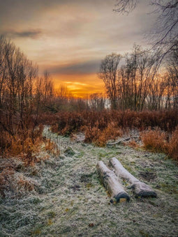 Customize it - Tuinschilderij winter sunset 70x50