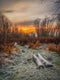 Customize it - Tuinschilderij winter sunset 70x50