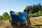 Scheppach DP5000 - Gemotoriseerde Kiep/kruiwagen - 500 kg - Blauw