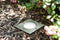 Paulmann - LED-grondinbouwlamp - IP67 3000K 3,5W 230lm 230V Edelstaal 108x124 mm