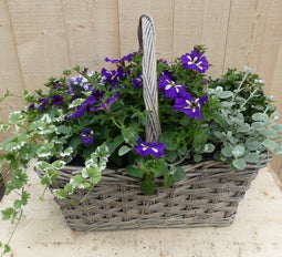 Hengselmand 50x35 cm met zomerbloeiers kleurenmix
