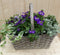 Hengselmand 50x35 cm met zomerbloeiers kleurenmix