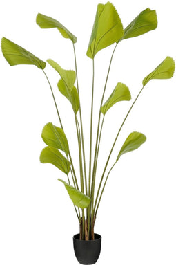Mica Decorations Kunstplant Palm - 80x80x180 cm - Polyester - Groen