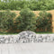 vidaXL - Schanskorven - 10 - st - gewelfd - 200x30x40/60 - cm - gegalvaniseerd - ijzer