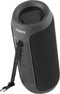 Streetz S250 - Bluetooth-speaker - 10W RMS - TWS - USB-C - Zwart