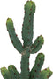 Atmosphera Kunstplant Alicante - Cactus met pot - Ø19xH49cm - Groen
