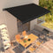 vidaXL - Luifel - handmatig - uittrekbaar - 500x300 - cm - antraciet