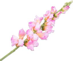Silk-ka Kunstbloem-Zijden Bloem Leeuwebek Lavendel-Paars 70 cm