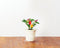 Chili Pepper Refill voor Smart Herb Garden (3-pack)