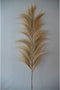 Decoratieve veer - 65x2x220 - Naturel - Bamboe