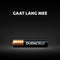 Duracell AAAA - Alkaline batterij 1,5V - Langdurige levensduur met Duralock Power Preserve technologie (2 stuks)