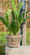 Drypot Bloemenmand Rond - XS