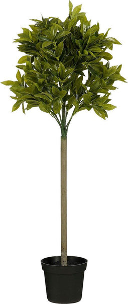 Mica Decorations Laurierboom Kunstplant - H120 x Ø40 cm - Groen