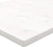 Bureaublad 100x60x2,5 cm massief grenenhout wit