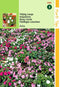 2 stuks - Hortitops - Impatiens Walleriana Baby Gemengd