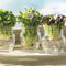 Tin Bormioli Rocco Transparant Glas (15 cl)