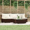 vidaXL - 4-delige - Loungeset - met - kussens - poly - rattan - bruin