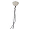 Pole to Pole - Pendent Light - Cloche beige 30