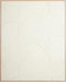 MUST Living Wall Panel Japanese Ginko Leaf,127x102x4 cm, white banana bark