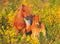 Ravensburger puzzel Shetland pony´s - Legpuzzel - 100 stukjes