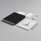 Boox Go 10.3 (Gen 2) - E-Paper Notebook - Stylus inbegrepen - Grijs