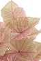 J-Line kunstplant Caladium In Pot - kunststof - lichtroze/groen