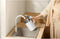 Xiaomi 2 Lite - Waterkoker 1,5L - 1500W Roestvrijstaal - Wit