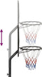 vidaXL Basketbalstandaard 282-352 cm polyethyleen