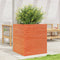 vidaXL - Plantenbak - 60x60x68,5 - cm - massief - grenenhout - wasbruin