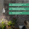 Venso EcoSolutions E27 SAGA lampenkap zwart, verbeterde fotosynthese en hogere chlorofylvorming, LED groeilamp, groeilicht voor kamerplanten, groenten, bloemen