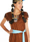 Dressforfun Phoenix - vrouwenkostuum indianenvrouw - fluweelachtige jurk met ceintuur - XXL