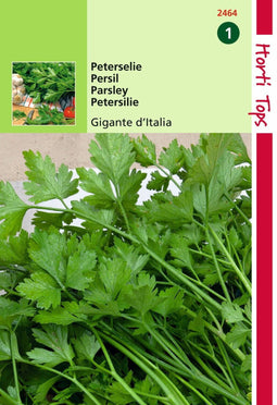 2 stuks - Hortitops - Peterselie Gigante d Italia
