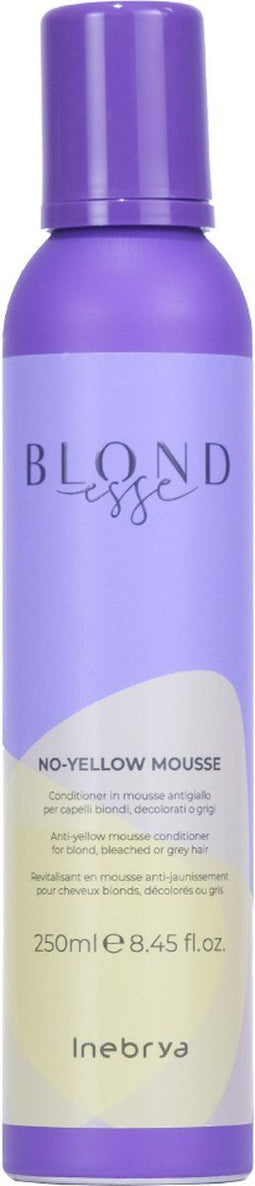 Inebrya No-Yellow Mousse 250ML