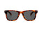 IKKI ACE M2-B2 Heren Zonnebril - Handgemaakt - Gepolariseerd - Plantaardig Acetaat - Turtle/Blauw Grijs