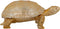 Safaary - Richmond Decoratie Box Goud Turtle - 34,5x34,5 CM