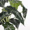 Mica Decorations Alocasia Kunstplant in Bloempot - H50 x Ø30 cm - Groen
