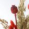 Plant in a Box - Boeket 'Large Zoey' - Droogbloemen - hoogte 55cm