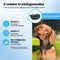 Anti Blafband Pro - Opvoedingshalsband Zonder Schok - Waterdicht - Oplaadbaar - Vibratie en Audio - 2 Extra Halsbanden