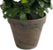 Mica Decorations Azalea - Kunstplant - Rood - 31 cm in pot