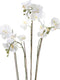 Emerald Kunstplant orchidee met mos wit 90 cm 20.355