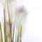 Mica Decorations pluimgras in plastic pot maat in cm: 150 x 45