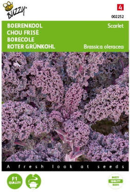 5 stuks - Buzzy - Boerenkool Scarlet Paars Tuinplus