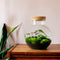 Growing Concepts DIY Duurzaam Ecosysteem Bol - H30xØ18cm