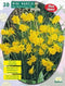 2 stuks Baltus Narcis Mini Bulbocodium per 30