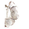 Pole to Pole - I22 Shell Necklace