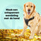 Jake & Jacky Hondentuigje - Anti-Trek Tuig - Y Tuig Hond - Reflecterend - Zwart - Maat XL