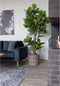 House Nordic Kunstplant Fiddle Leaf Boom 190cm