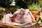 Little Dutch Fairy Garden - Tuingereedschapset - 10-delig - Roze