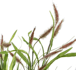 Decoratieve plant 45 x 40 x 74 cm Groen PVC